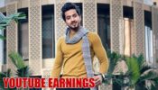 How Much Does Faisu Earn from YouTube?