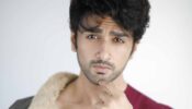 Bigg Boss 14: Equations and friendships change within seconds in the house – Nishant Singh Malkani