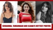 Ileana D’Cruz, Tamannaah Bhatia, Shraddha Kapoor PEPPERY photos that went viral on internet