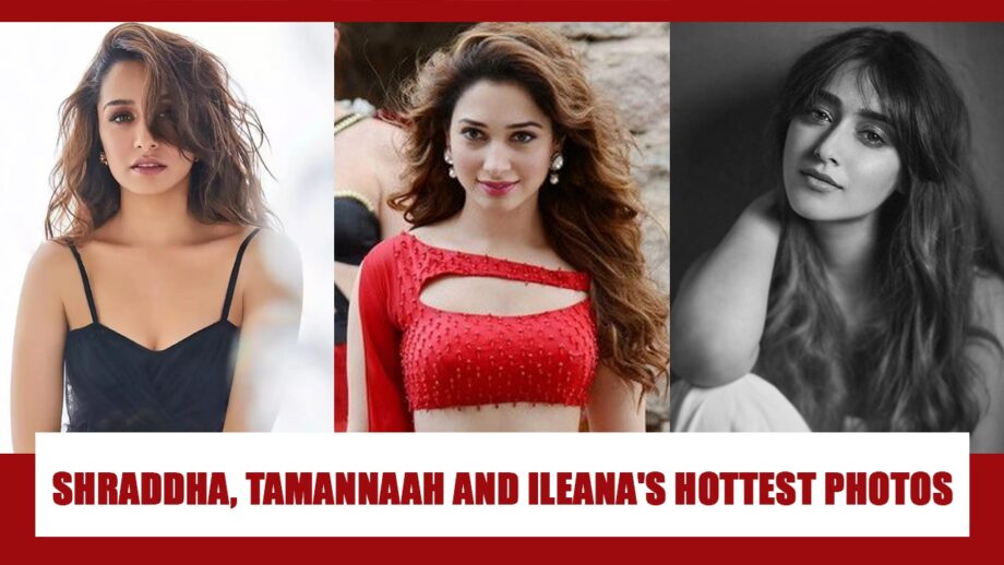 Ileana D'Cruz, Tamannaah Bhatia, Shraddha Kapoor PEPPERY photos that went viral on internet 791415