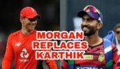 IPL 2020: Dinesh Karthik steps down as KKR captain, Eoin Morgan to take charge