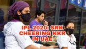 IPL 2020: Shah Rukh Khan’s Most Amazing Photos Cheering For KKR That Went Viral In Dubai