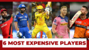 IPL 2020: Virat Kohli To David Warner; 6 Most Expensive Players In IPL History
