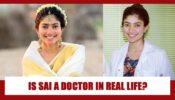 Is South Beauty Sai Pallavi A Doctor In Real Life? Know The Real Truth