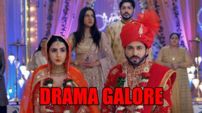 Kundali Bhagya spoiler alert: Karan refuses to accept Mahira