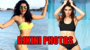 Karishma Tanna Raises Hotness Quotient With Her Bikini Photo, Check Now