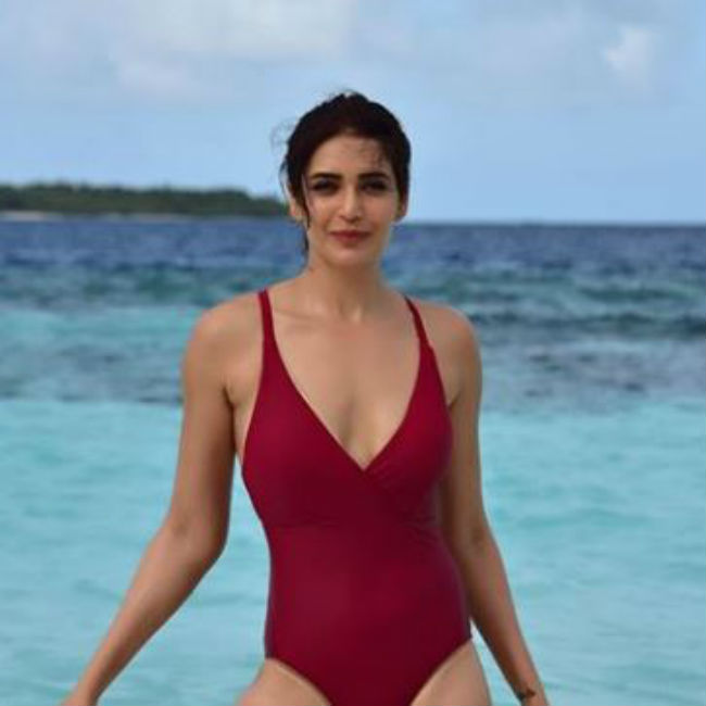 Karishma Tanna Raises Hotness Quotient With Her Bikini Photo, Check Now - 4