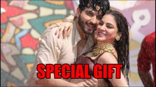 Kundali Bhagya spoiler alert: Karan gets a special gift for Preeta
