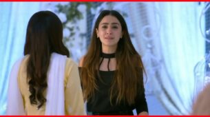 Kundali Bhagya Written Update, Ep 809 24th October 2020: Preeta throw Mahira out of the house