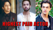 Mohsin Khan VS Parth Samthaan VS Shaheer Sheikh: Who’s The Highest Paid Television Actor?