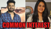 Most Common Interest Between Prabhas And Anushka Shetty