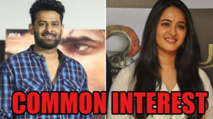 Most Common Interest Between Prabhas And Anushka Shetty