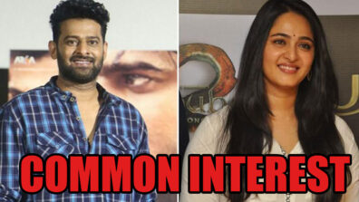 Most Common Interest Between Prabhas And Anushka Shetty