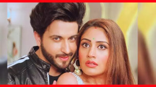 Naagin 5 Written Update, S5 Ep22 24th October 2020: Sakura wants to Marry Bani