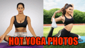 Poonam Pandey & Urvashi Rautela’s Viral Hot Yoga Photos!
