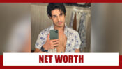 Priyank Sharma Affairs, Controversies, Net Worth, Lifestyle