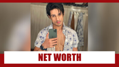 Priyank Sharma Affairs, Controversies, Net Worth, Lifestyle