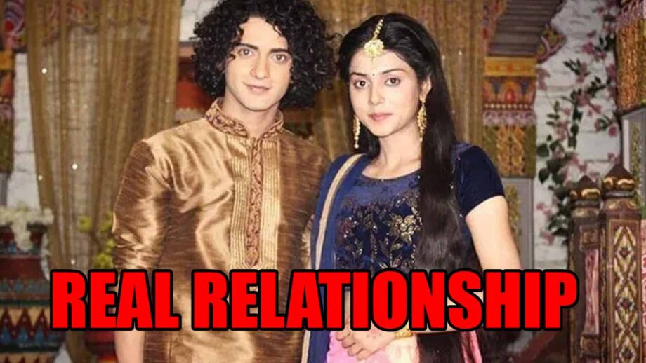 RadhaKrishn: What Sumedh Mudgalkar Revealed About His Real Relationship With Mallika Singh