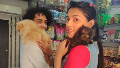 [Photos] RadhaKrishn’s Sumedh Mudgalkar-Mallika Singh’s ‘meow’ moment