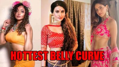 Rashami Desai, Pavitra Punia And Aamna Sharif’s Hottest Belly Curve Photos That Went Viral On Internet