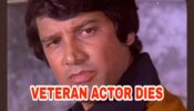 RIP: Chalte Chalte actor Vishal Anand dies