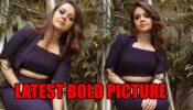Saath Nibhaana Saathiya’s Gopi Bahu aka Devoleena Bhattacharjee shares latest bold picture in blue