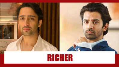 Shaheer Sheikh Vs Barun Sobti: Who’s RICHER?