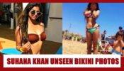 Shahrukh Khan’s Daughter Suhana Khan Dazzles In A Bikini