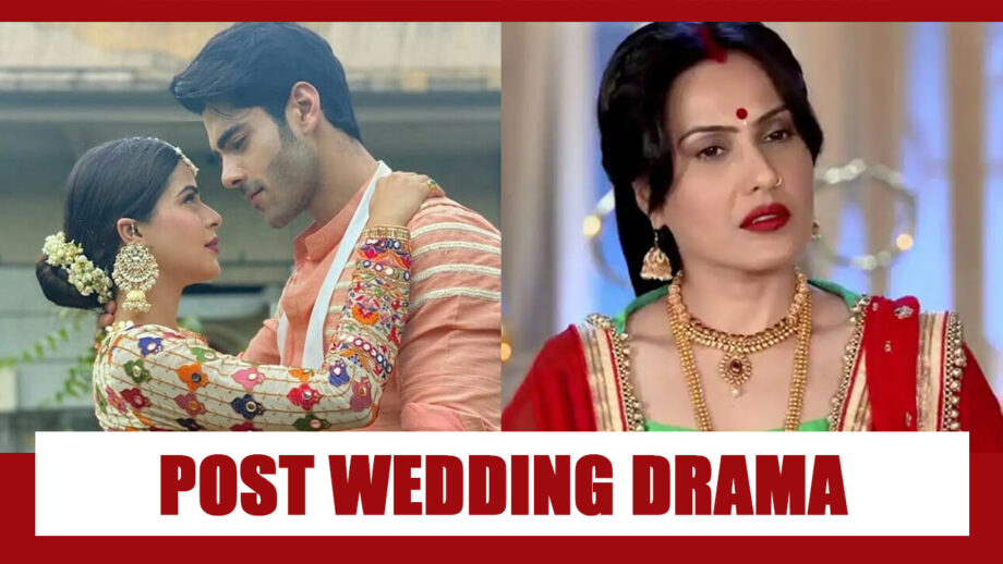 Shakti Astitva Ke Ehsaas Ki Spoiler Alert: Virat and Heer to stay with Preeto post marriage?