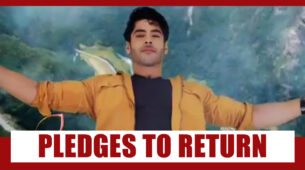 Shakti Astitva Ke Ehsaas Ki Spoiler Alert: Virat pledges to return for Heer; falls off the cliff