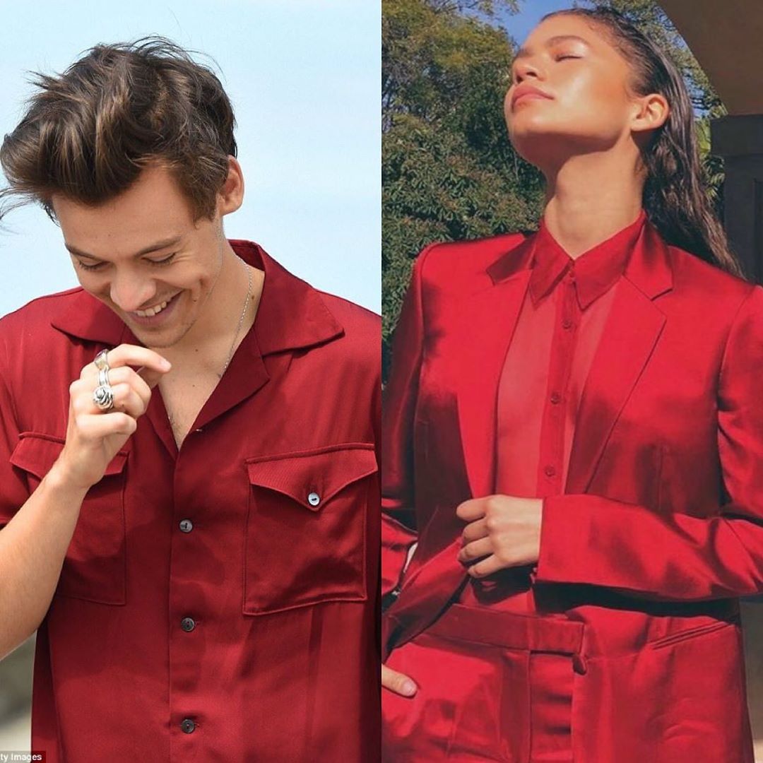 Striking Similarities between Harry Styles and Zendaya will leave you awestruck 8