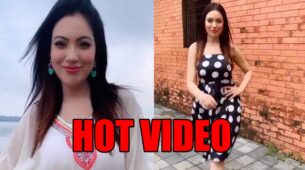 Taarak Mehta Ka Ooltah Chashmah fame Munmun Dutta’s latest hot video will make you go crazy
