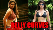 Take a look at the Perfect Belly Curves of Nayanthara