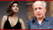 The Bhatts Finally Take Retaliatory Steps