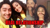 The real relationship of Shaheer Sheikh and Erica Fernandes