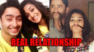 The real relationship of Shaheer Sheikh and Erica Fernandes