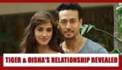 The real relationship of Tiger Shroff and Disha Patani