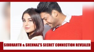 The Secret Connection Between Shehnaaz Gill And Siddharth Shukla