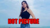 TikTok fame Jannat Zubair shares latest hot picture, says ‘want to fly’