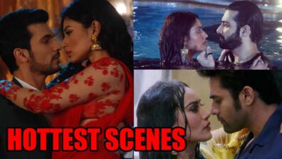 Top Hottest Scenes From Naagin