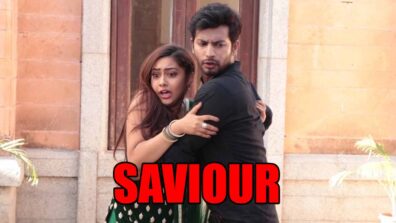 Tujhse Hai Raabta spoiler alert: Malhar to protect Kalyani