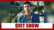 Want To Know The Real Reason for Parth Samthaan To Quit Kasautii Zindagii Kay?