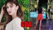 What is Erica Fernandes doing in Goa?