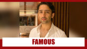 Why Is Shaheer Sheikh So Famous In Indonesia?