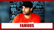 Why Is Vivian Dsena So Famous?