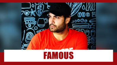 Why Is Vivian Dsena So Famous?