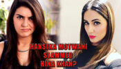 Why South Indian Actress Hansika Motwani Slammed Hina Khan?