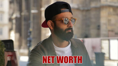 Woah: Net Worth of Be YouNick Will Drive You Insane!