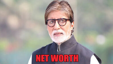 WOW: Net Worth Of Amitabh Bachchan Will SHOCK You