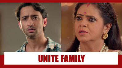 Yeh Rishtey Hain Pyaar Ke Spoiler Alert: Abir urges Meenakshi to unite family?